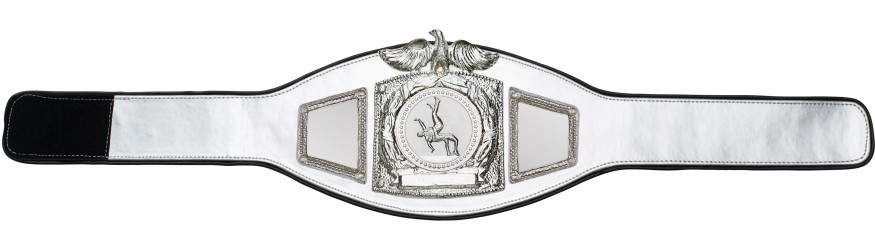 PROEAGLE WRESTLING CHAMPIONSHIP BELT - PROEAGLE/S/WRESTS - AVAILABLE IN 6+ COLOURS PROEAGLE WRESTLING CHAMPIONSHIP BELT - PROEAGLE/S/WRESTS - AVAILABLE IN 6+ COLOURS